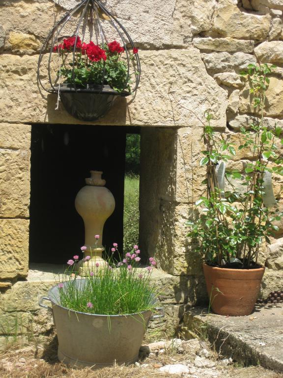 Domaine La Rose Bed & Breakfast Caylus Dış mekan fotoğraf