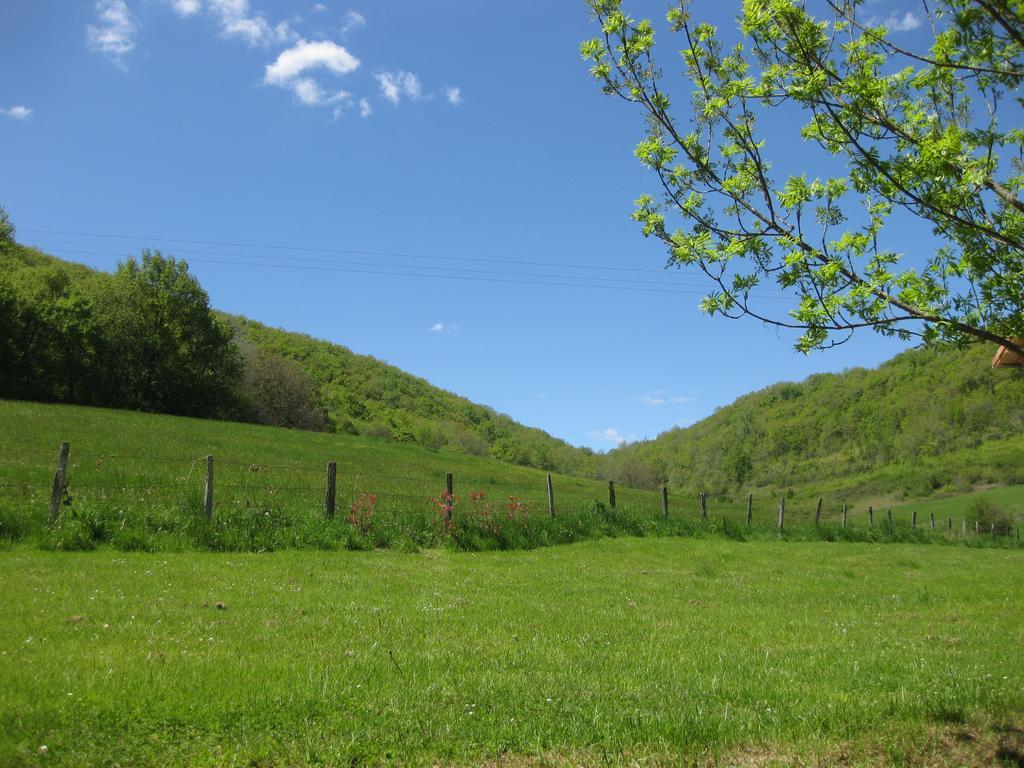 Domaine La Rose Bed & Breakfast Caylus Dış mekan fotoğraf